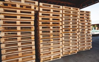 The Europallet: Standards, Advantages and its Impact on Logistics