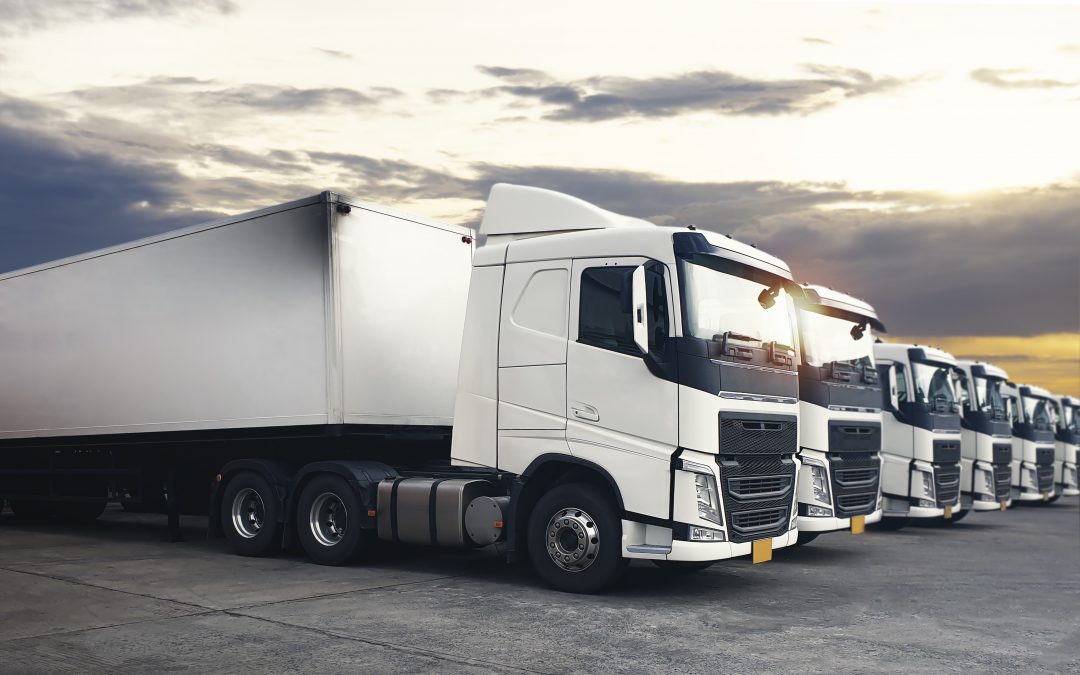 Inicio de año y planificación logística